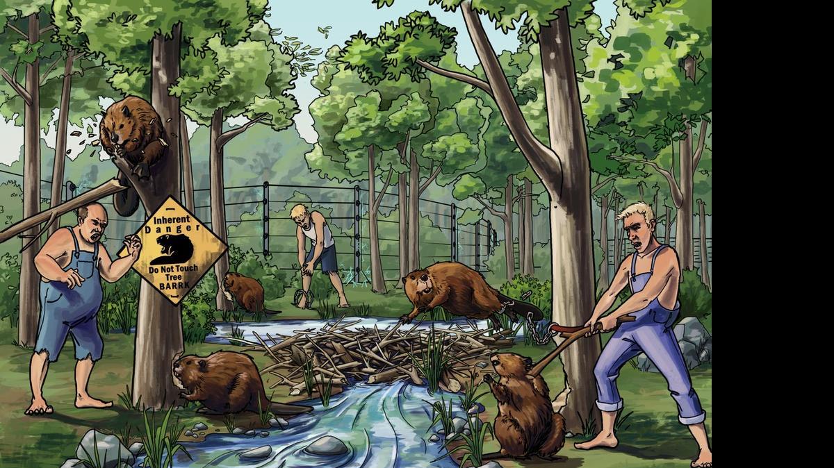 In a SketchyLaw animation , beavers  represent criminals committing one of the felonies  in the acronym “BARRK,” used  by law students to remember burglary, arson, rape, robbery and kidnapping –  crimes that can lead to a murder charge if someone dies while they are being committed.