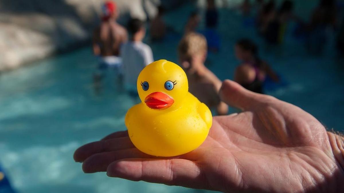 
One of thousands of rubber ducks that participated in the 'Duck Dash' at Raging Waters water park in Sacramento on Saturday, August 29, 2015. Sutter Children's Hospital held its third annual "Duck Dash" at Raging Waters Saturday. People paid for rubber ducks, which they then raced down an 800-ft water slide. The money goes to a music therapy program at the hospital.
