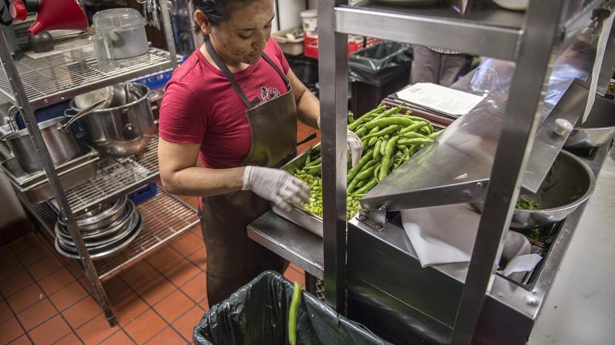Teresa Lucero, discards the remains of fava beans in to a food recycling bin as she prepares them on Thursday, April 20, 2017 at Mulvaney’s B & L restaurant in Sacramento, Calif. WasteRight Sacramento is a new program to help local restaurants and food providers comply with AB 1826, the state law aiming to reduce greenhouse gas emissions by requiring food providers to recycle food waste.