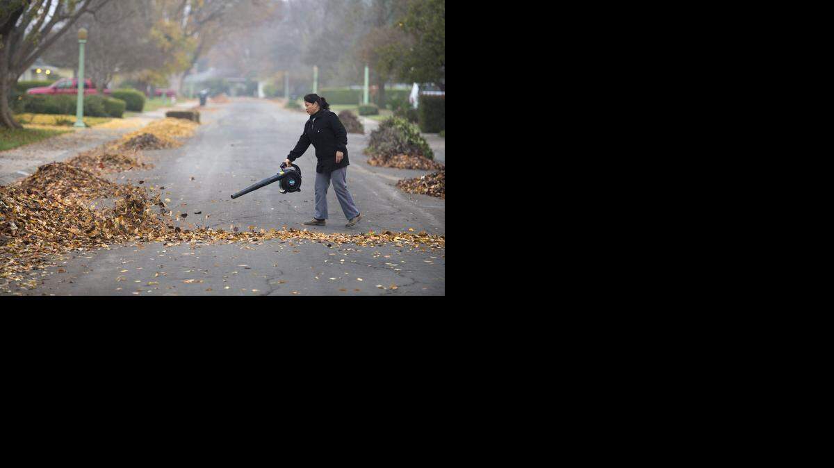 
They won’t be powerhouse storms such as the one last week that caused River Park resident Maya Gurung to use a blower to clean up soaked leaves on her street, but forecasters say a series of weather systems will bring more precipitation to Northern California this week.
