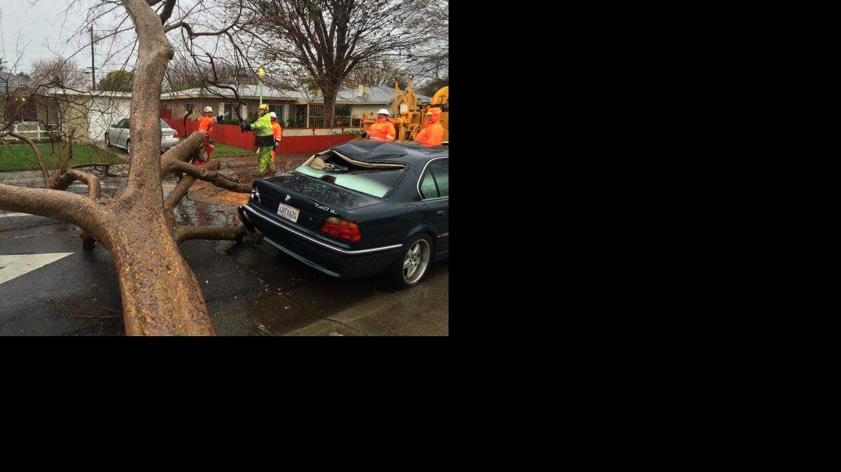 
This big tree fell across the street, smashing a BMW on its way down north of Fruitridge Road and 59th Street in Sacramento.
