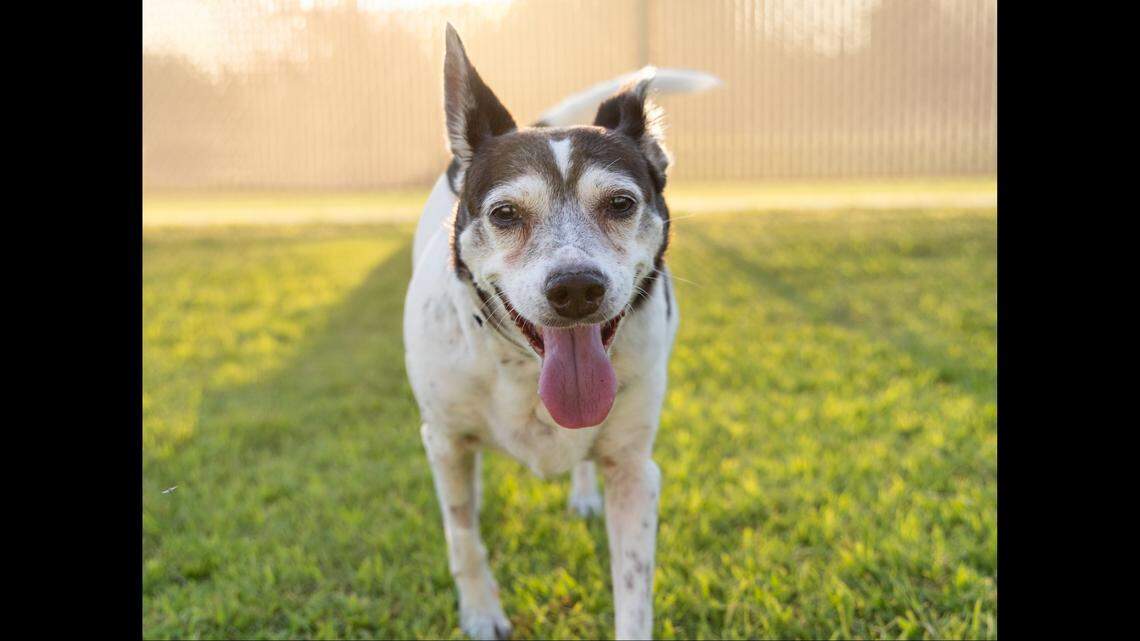 Dorothea had minor injuries, the rescue said.