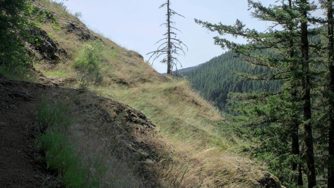 The biker survived the fall but sustained injuries, rescuers said.