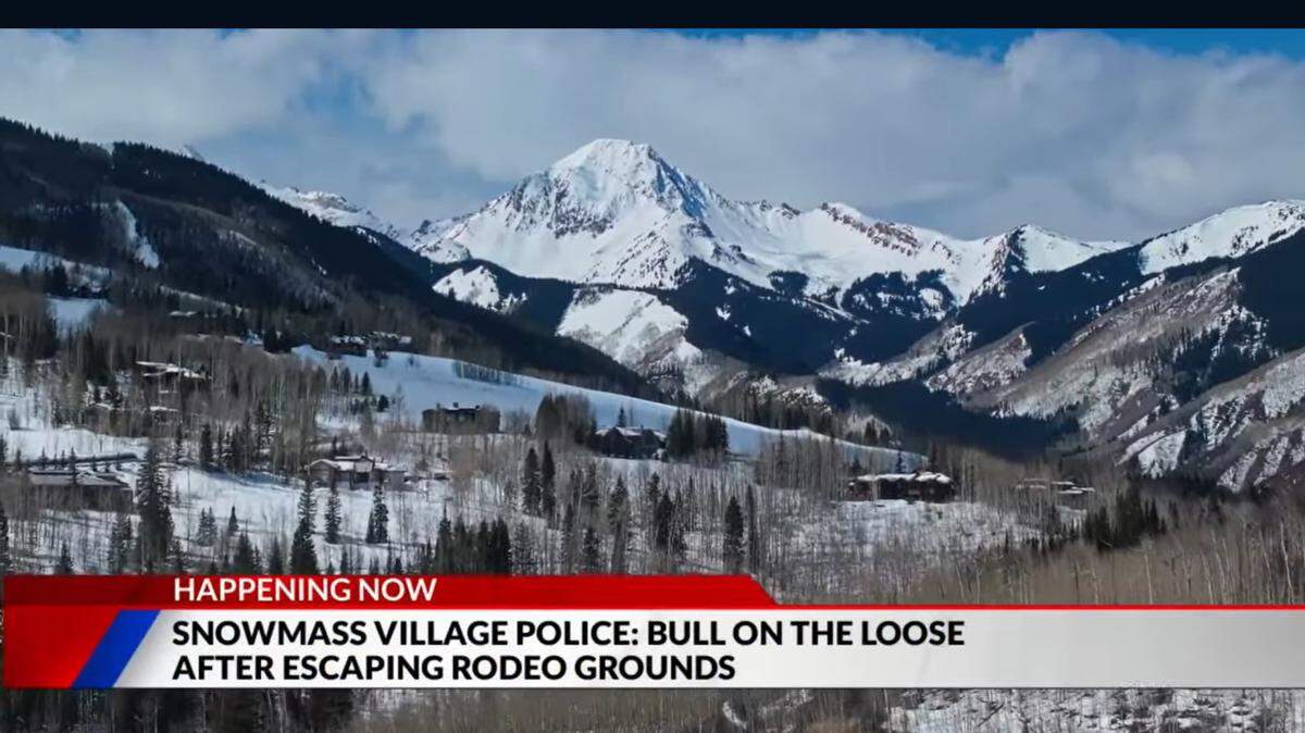 A rodeo bull is running loose after it escaped from the rodeo grounds in a Colorado town, officials said.