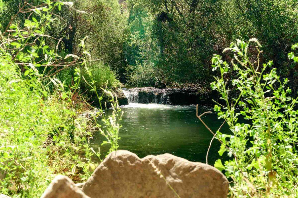 The land, originally inhabited by the Tataviam people, became part of an 1843 land grant to Francisco López and José Arellanes from the Mexican government of California.
