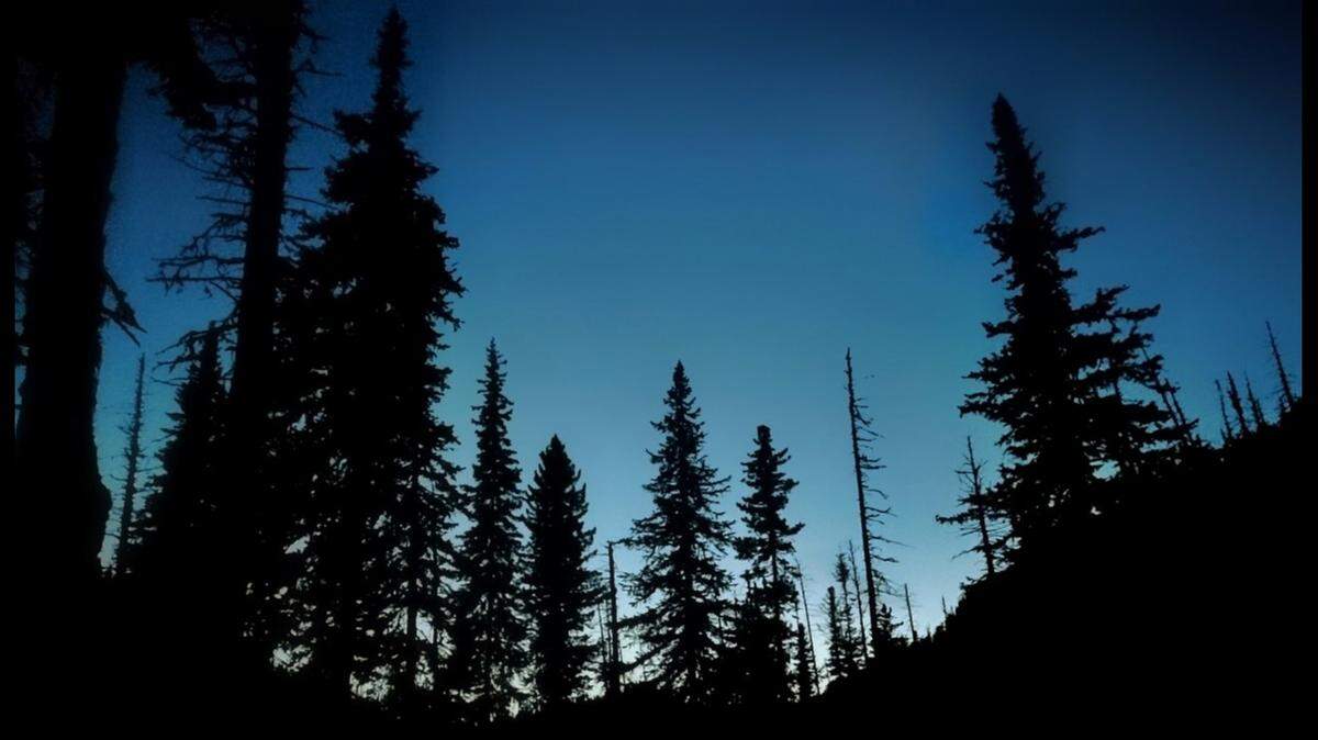 The injured hiker was stranded in Angeles National Forest, rescuers said.