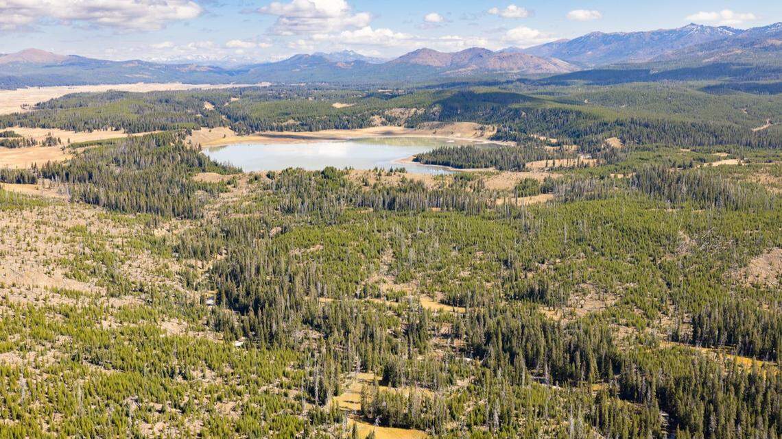 A hiker was injured by a bear near Turbid Lake in Yellowstone National Park, officials say.