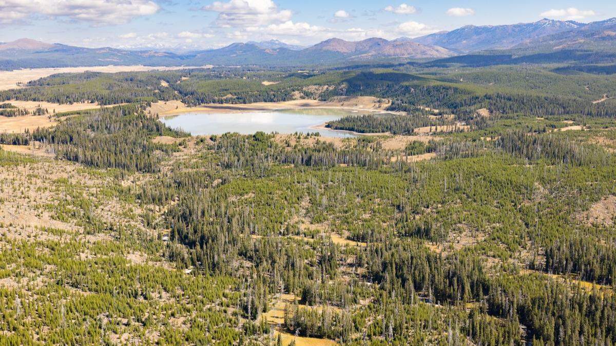 A hiker was injured by a bear near Turbid Lake in Yellowstone National Park, officials say.