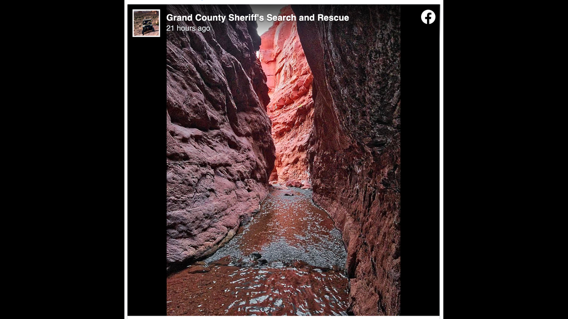 A woman swept down 200 feet down a Utah canyon with her dog was rescued after sending an SOS on her iPhone, rescuers said.