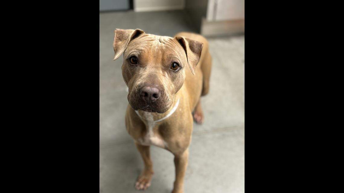 Bright Eyes was treated to a spa day.