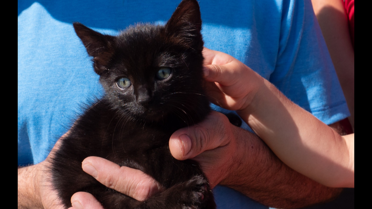“It’s safe to say Lucky’s living up to her name,” the Utah Department of Transportation said in a Facebook post.