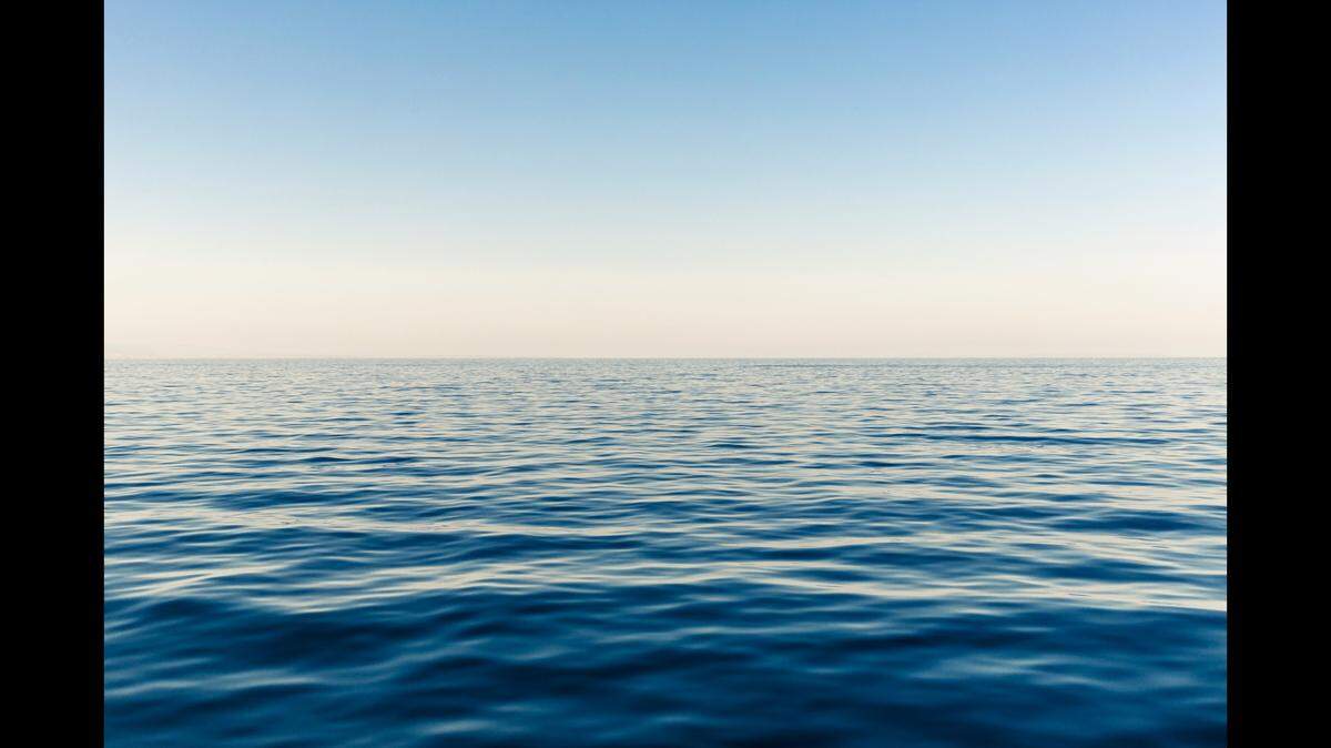 Two gray whales came within inches of a boat off the Southern California coast, lingering for 20 to 30 minutes.