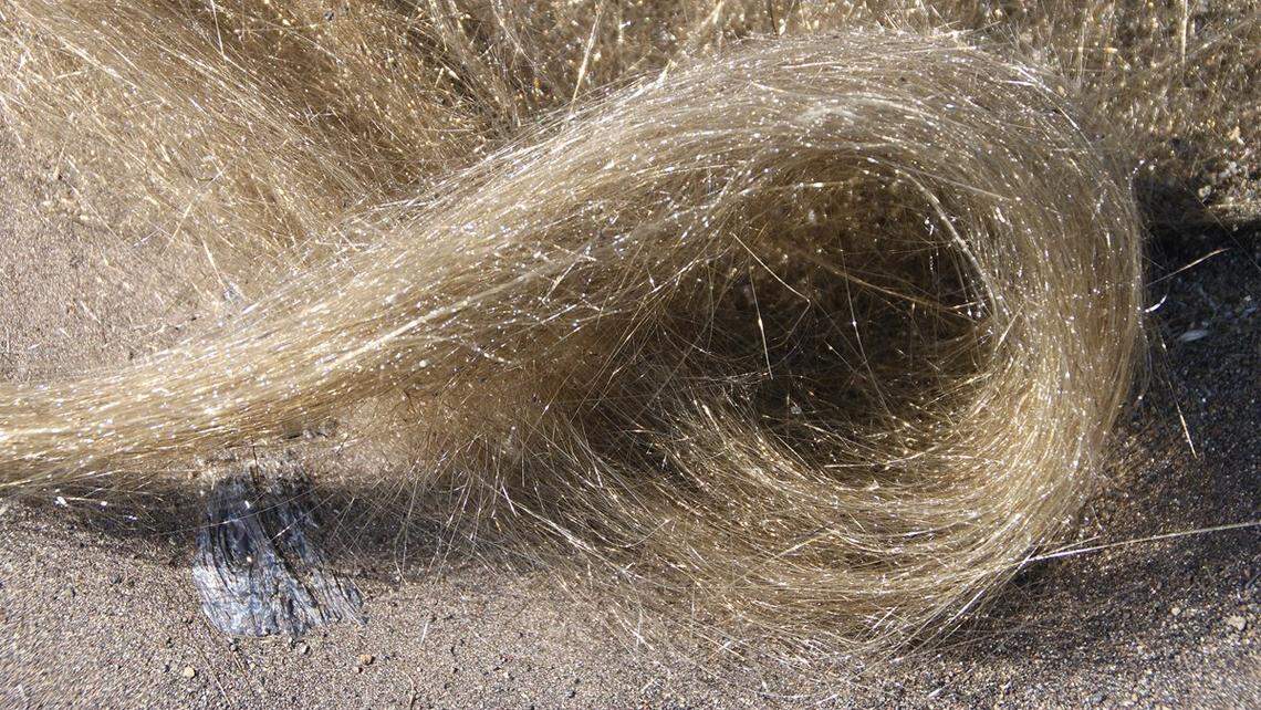 “Pele’s hair” is shown in a National Park Service photo.