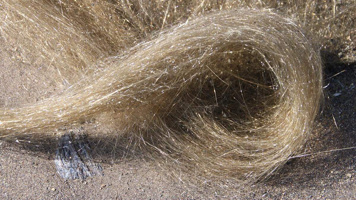 “Pele’s hair” is shown in a National Park Service photo.