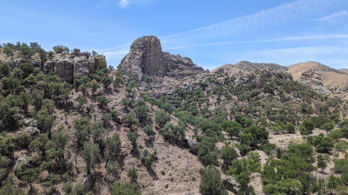 An Arizona trail camera spotted a “rare species” not seen in the area in 50 years, Phoenix Zoo says.