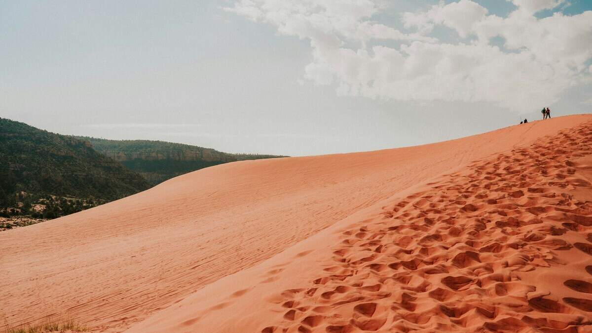A man went missing in a Utah sand dune park after he bought a day pass, officials said. His body was found days later almost two miles from his truck.