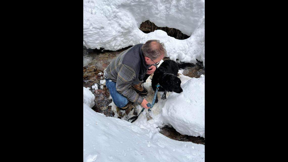 A 6-year-old dog was found after being missing for 10 days, Colorado rescuers said.
