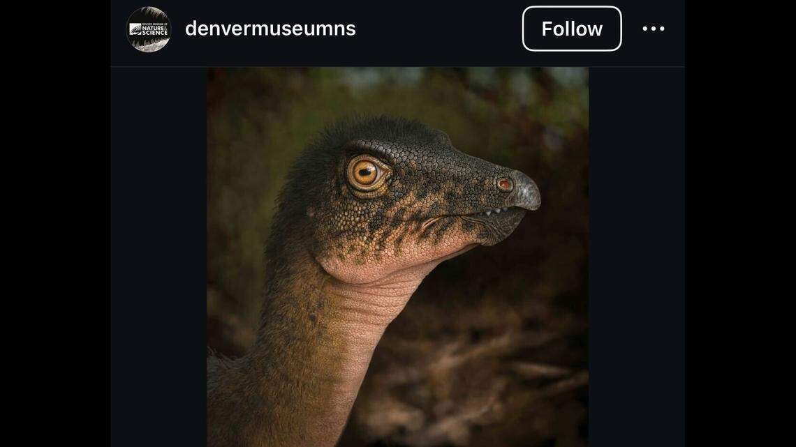 Researchers uncovered a partial fossil underneath a museum’s parking lot, Colorado officials said.