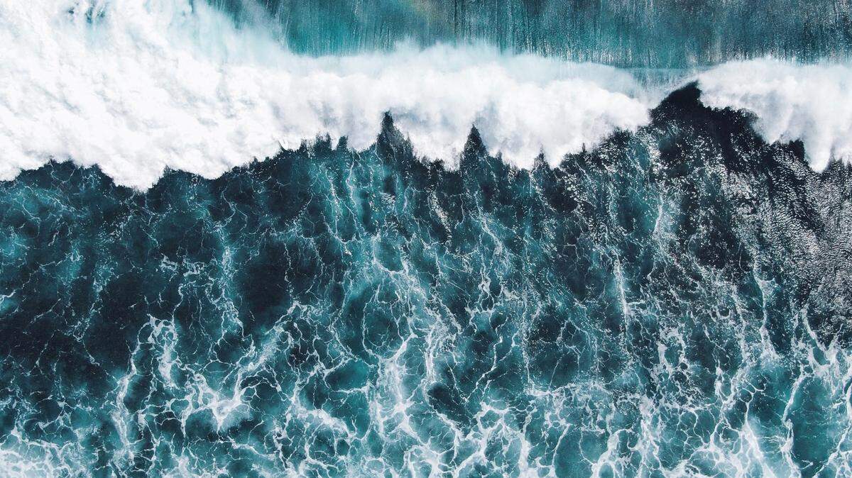Two people were rescued after being swept to sea off the coast of California.