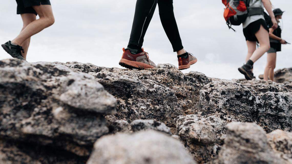 Hikers (not pictured) near Yosemite National Park took cover as gunshots were fired near them, authorities say.