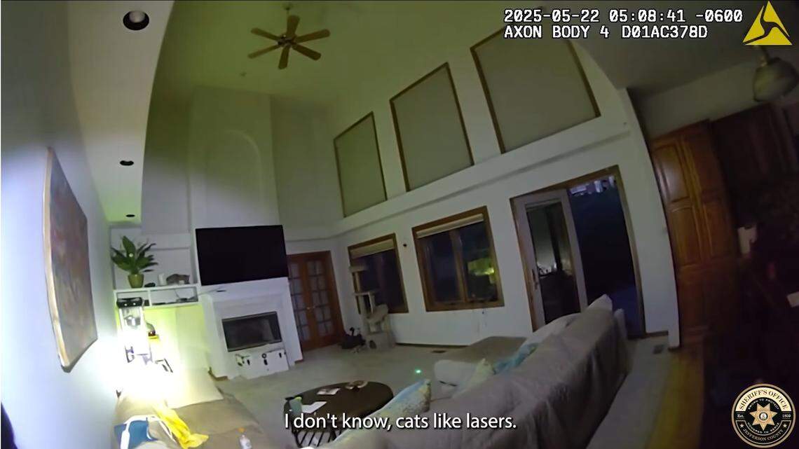 A wild cat was unimpressed with a deputy’s “outside the box” attempt to lure it back out to the Colorado wilderness, video shows.