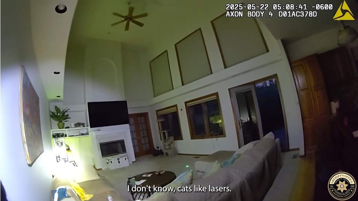 A wild cat was unimpressed with a deputy’s “outside the box” attempt to lure it back out to the Colorado wilderness, video shows.