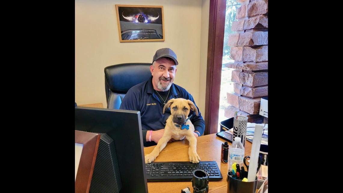 Chief Brandon Sicilia was the first to care for the puppy.