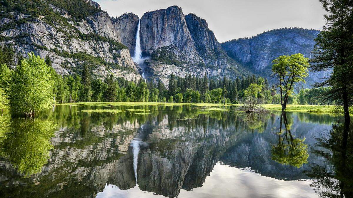 What California national park visitors can expect this summer as staffing cuts impact park services.