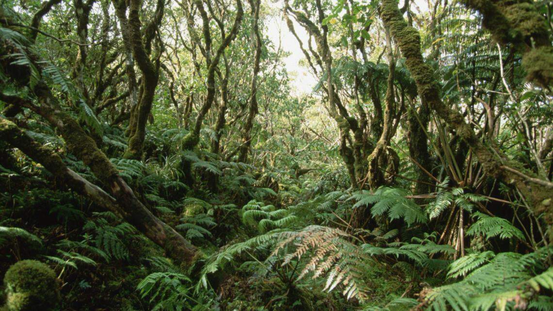 The Hawaiian island of Molokai is shown.