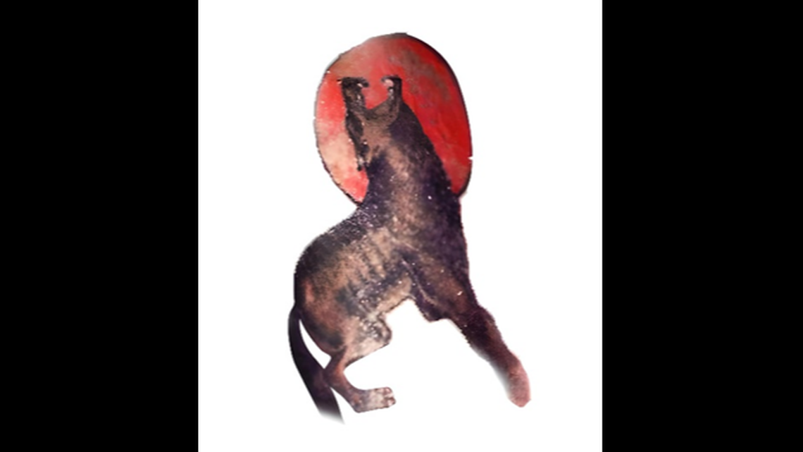 Thirty-nine years after a man was found dead down an embankment, California authorities are hoping his distinctive arm tattoos can help identify him.