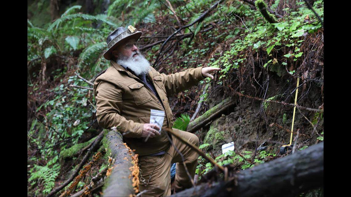 Wayne Thompson, a paleontologist with the museum, onsite in the Santa Cruz Mountains.