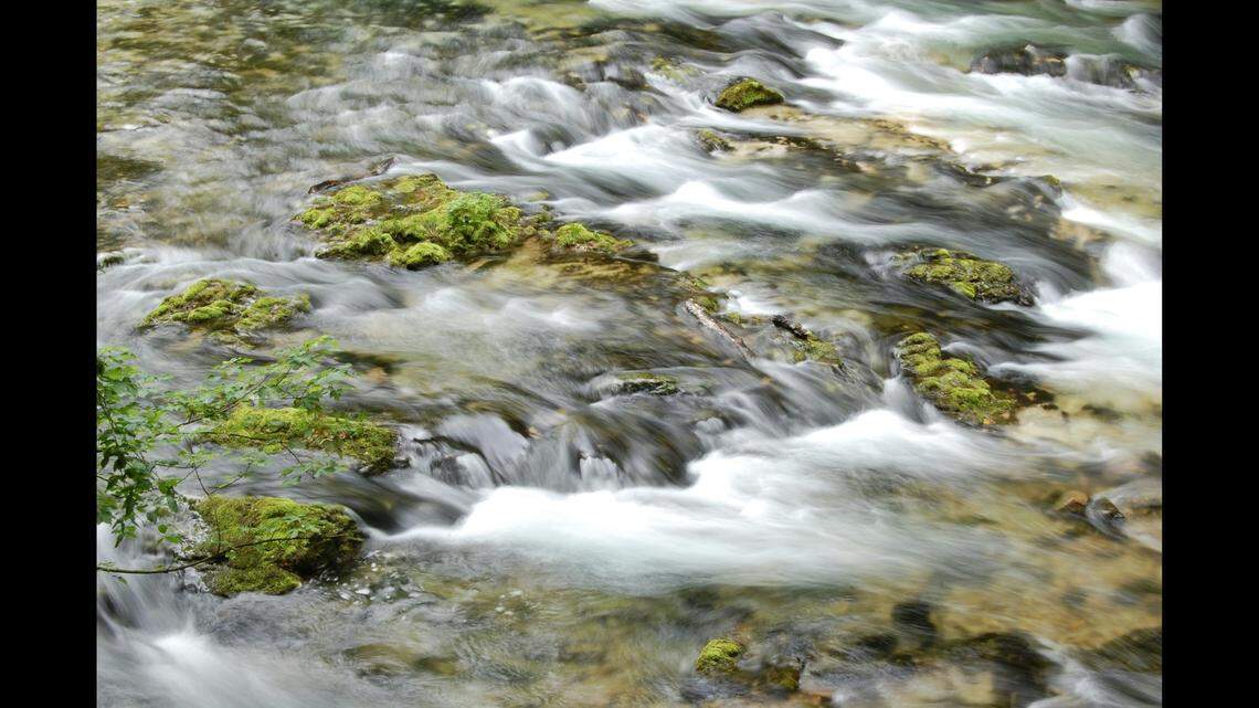 Three visitors were rescued from Avalanche Creek, Glacier National Park officials said.