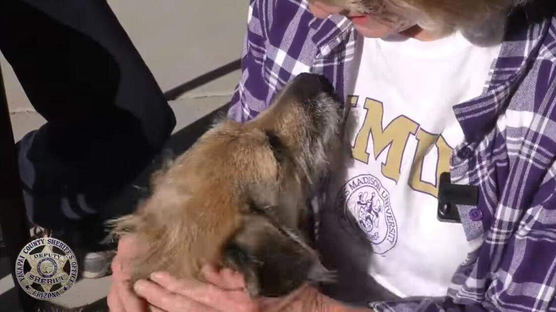 Joann Ward, 62, became lost from her family’s campsite while walking her dog on Dec. 5 in Yavapai County, Arizona, deputies said. She was found two days later.