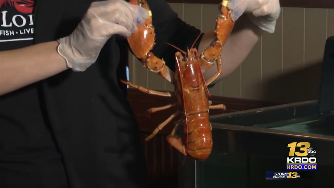A dishwasher spotted the bright orange crustacean in a shipment.