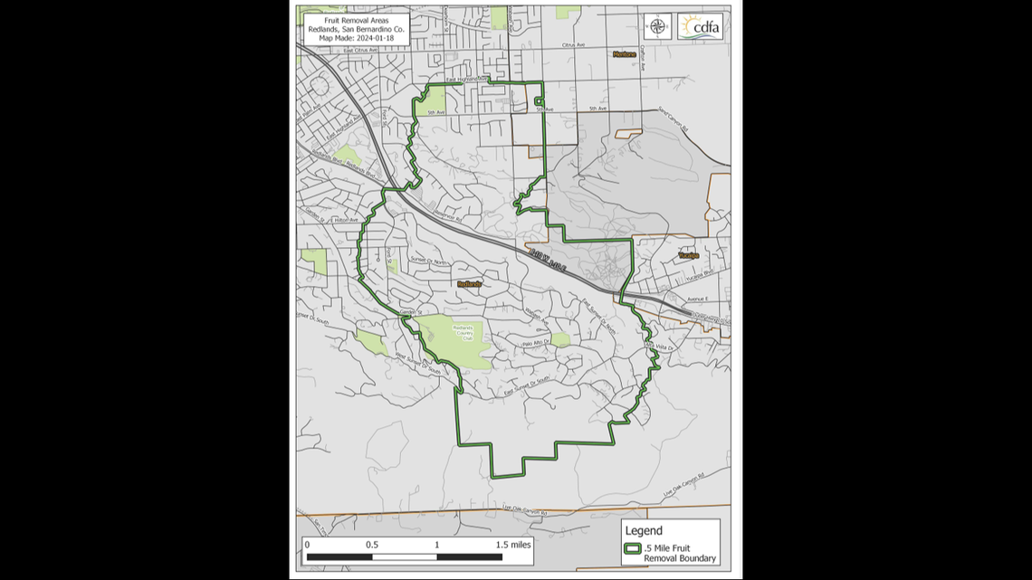 The “large-scale fruit removal,” which is slated to begin in late January, is set for a designated area in Redlands, according to a state agency said.