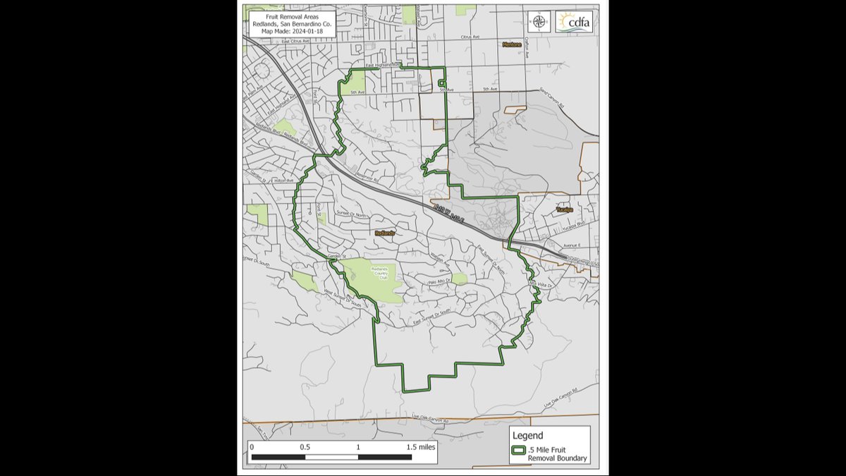 The “large-scale fruit removal,” which is slated to begin in late January, is set for a designated area in Redlands, according to a state agency said.