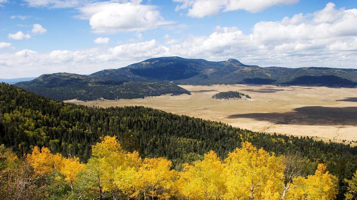 An endangered creature traveled north across New Mexico and reached the Valles Caldera National Preserve on Nov. 11, officials said. This creature was last seen in the park in 1932.