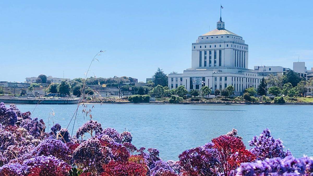 A volunteer found a baby raccoon with leucism inside a trash can at Lake Merritt in Oakland, California, a photo shows.