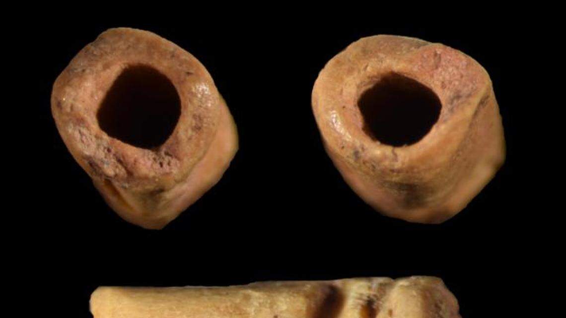 A tube-shaped bead made of bone was discovered in Wyoming.