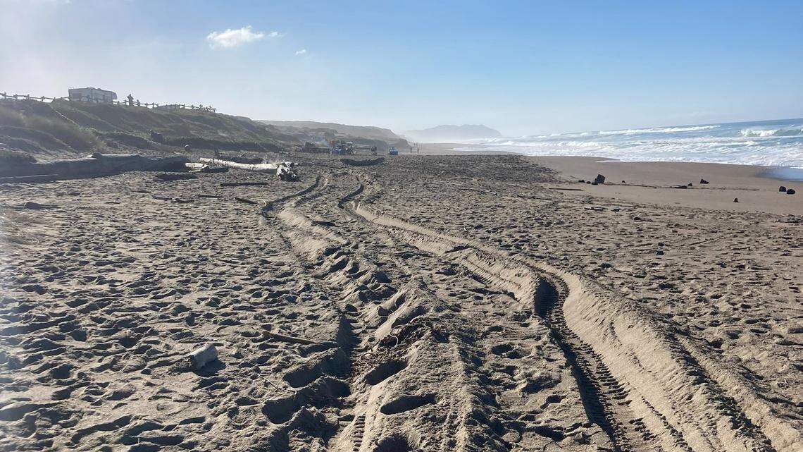 Tread marks are seen on North Beach in Point Reyes National Seashore after a group illegally drove along the shoreline, officials said.