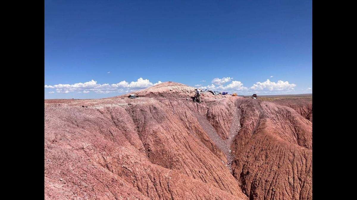 Kay Behrensmeyer, curator of vertebrate paleontology at the Smithsonian’s National Museum of Natural History, is shown in Arizona’s Petrified Forest National Park.