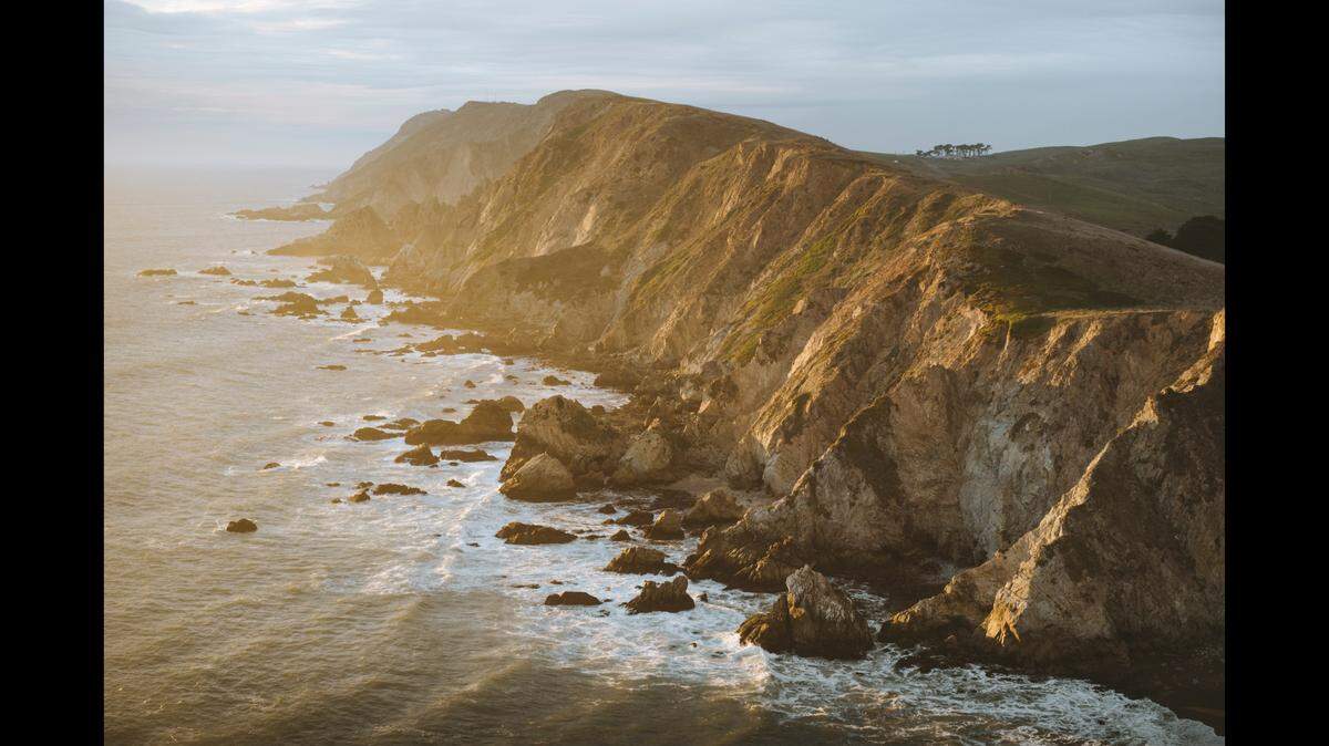 An elusive animal with a rare and eye-catching coat coloration was recently spotted at Point Reyes National Seashore in California, officials say.