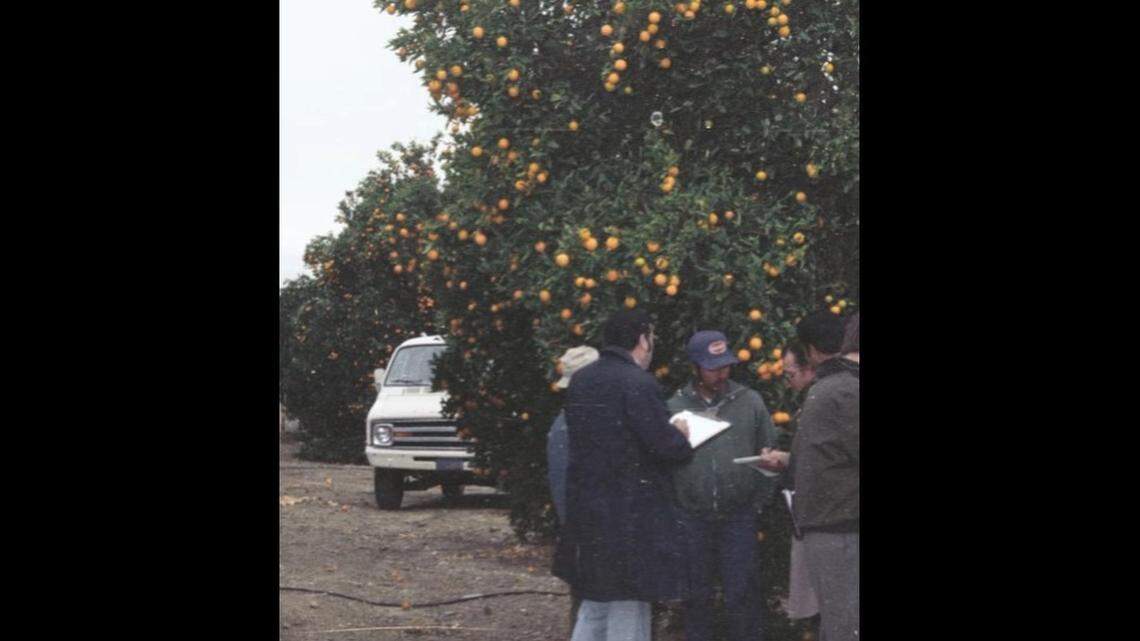 A woman's body was found in an orchard in 1981, deputies say.