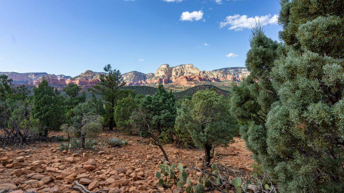 Hikers needed help on Sedona trails during the summer heat, deputies in Arizona said.