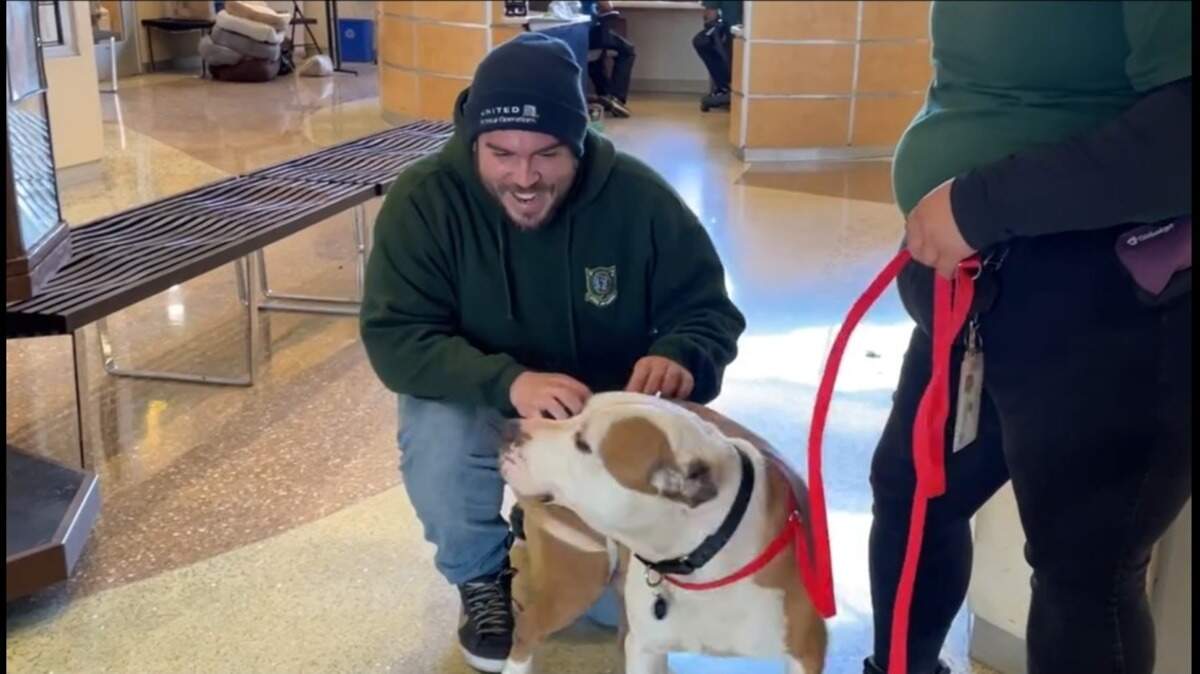 Churro is back home in Oregon after his original owner adopted him once again, a shelter said.