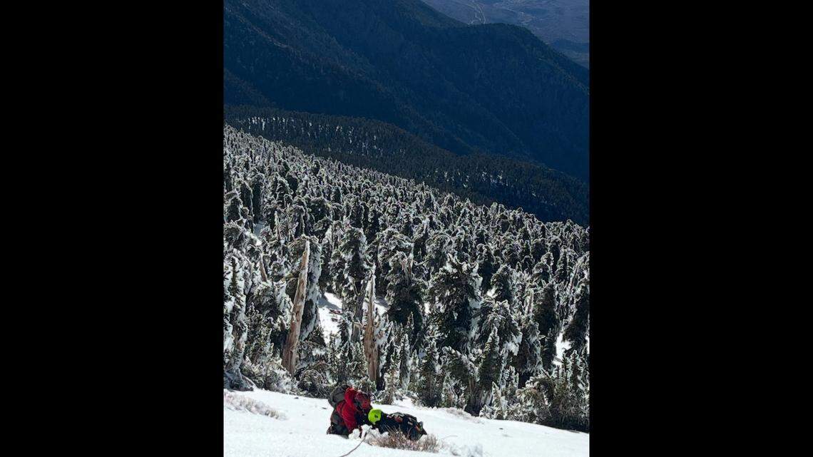 The hiker slid into a frozen bush, rescuers said.