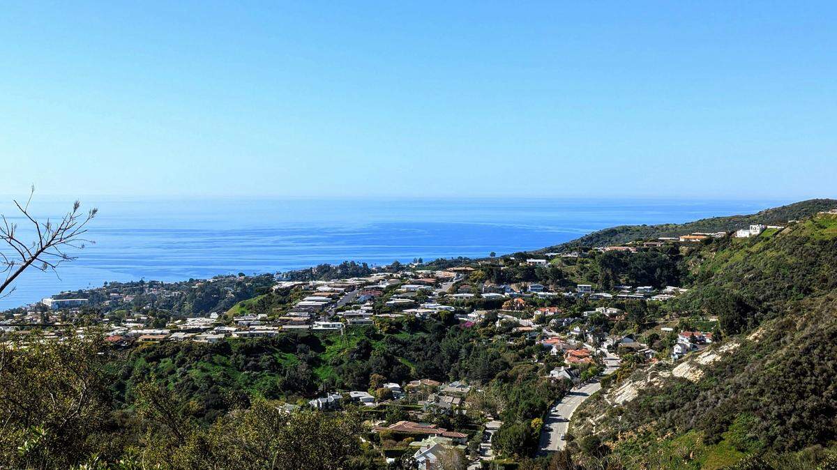 A lone creature has been traveling through crowded California suburbs and visiting neighborhoods, a photo shows.