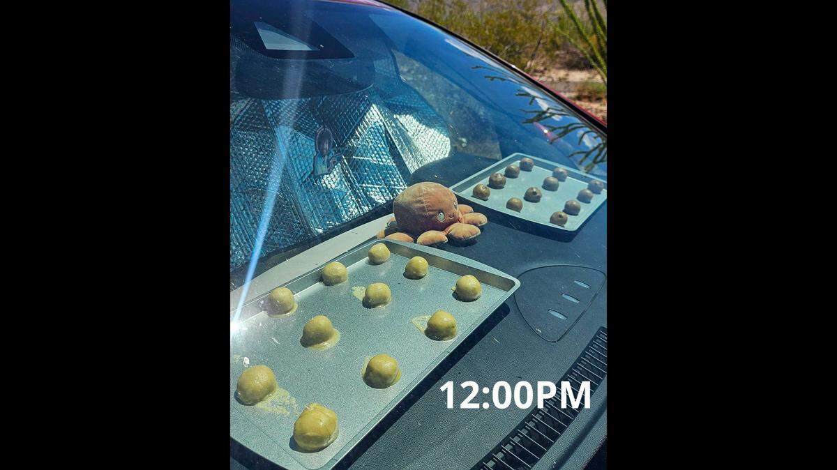 Rangers with Saguaro National Park bake cookies on top of a car’s dashboard each year amid the summer heat.