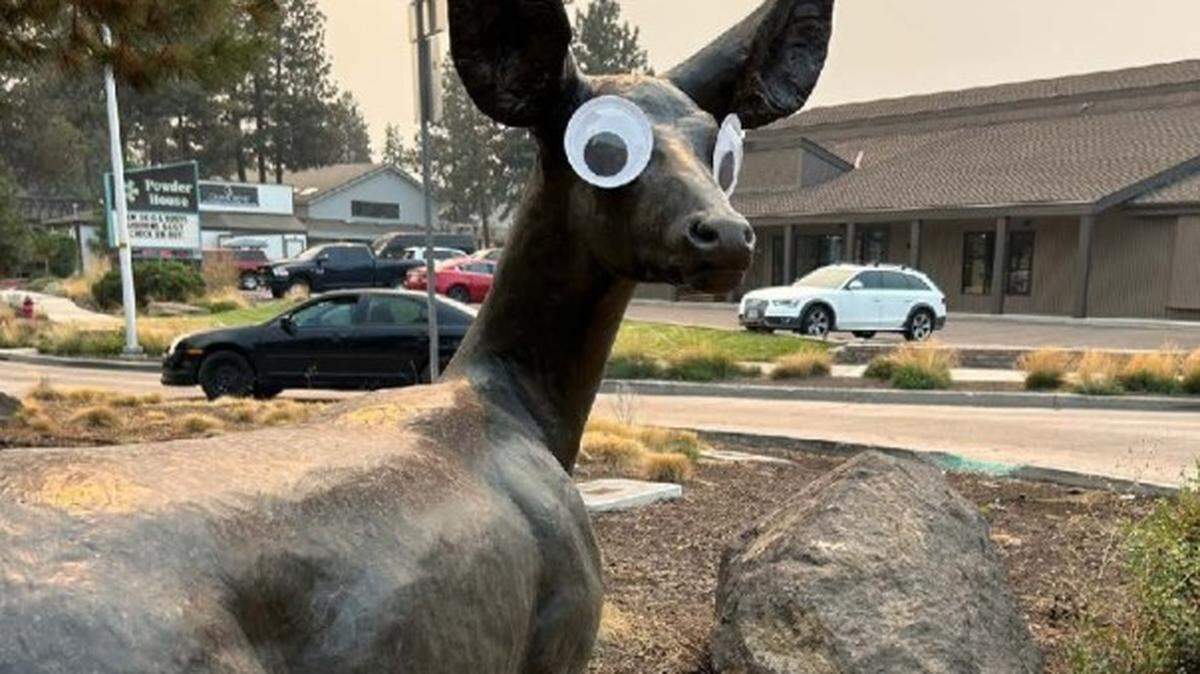 Someone has been adhering googly eyes to statues in Bend, Oregon, and city officials aren’t laughing.