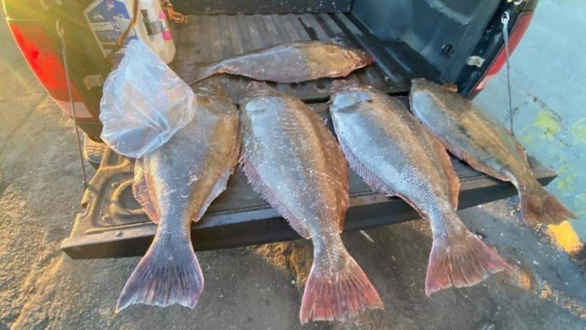 A commercial fisherman was caught hiding over 2,000 pounds of fish behind a false wall in his trawling vessel, California wildlife officers said.